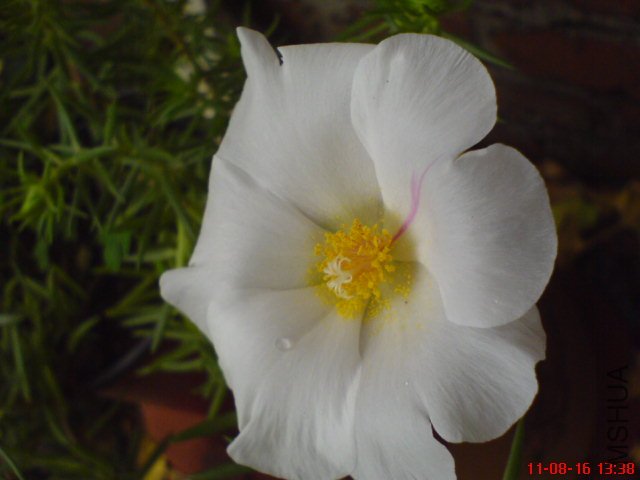 DSC02606.JPG
