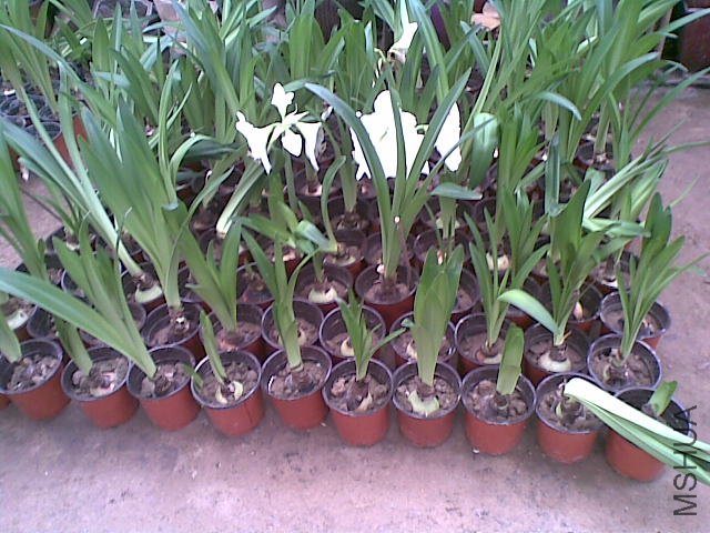 20110817_002.jpg