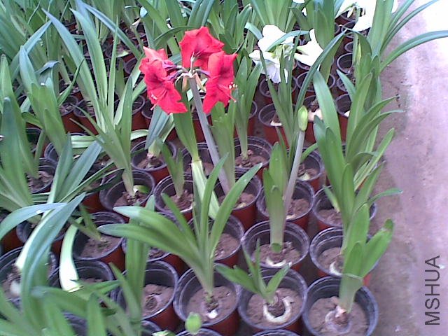 20110817_007.jpg