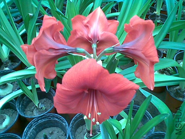 20110817_009.jpg