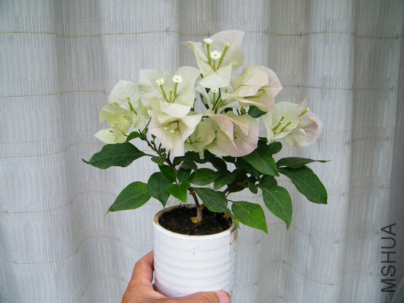 ������110712 013.jpg