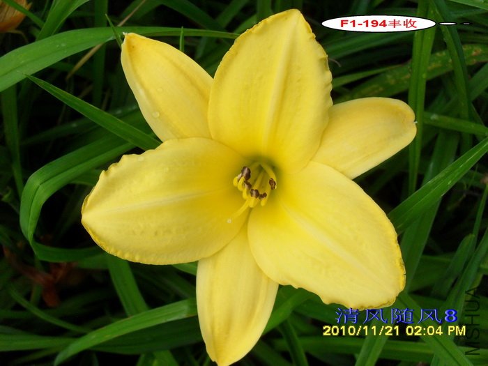 F1-194���� (1).jpg