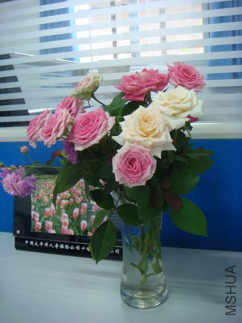 DSC01273A.jpg