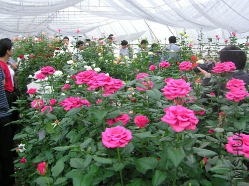 P2280266_small.jpg