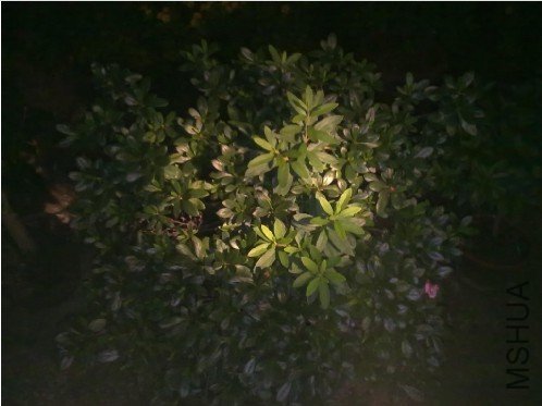 ���ǽ����������ڵ�����