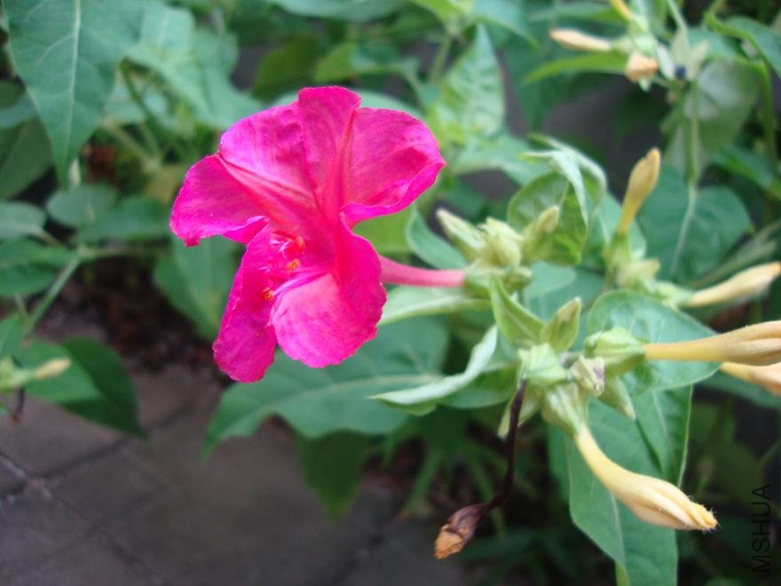 DSC01892.JPG