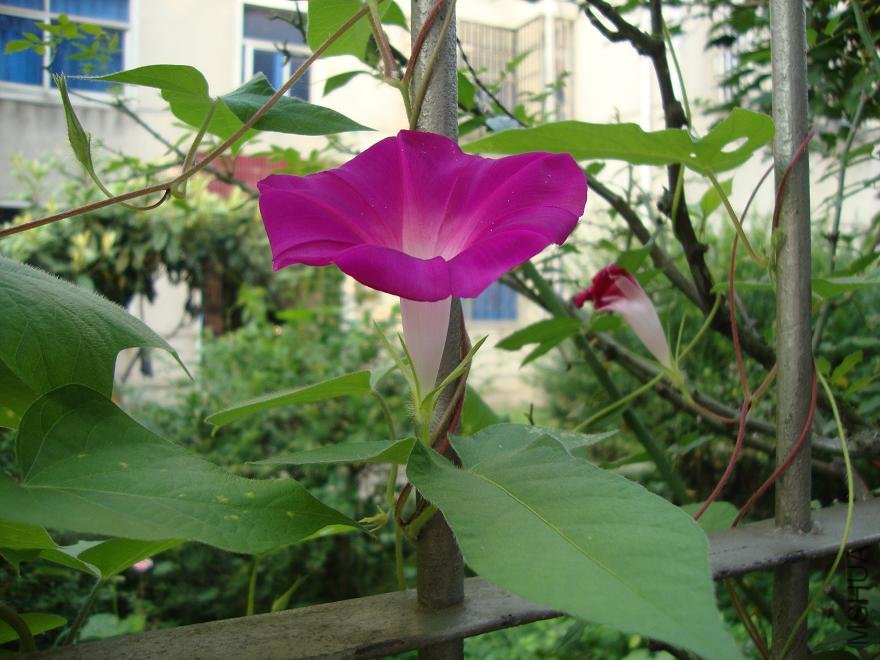 DSC01883.JPG