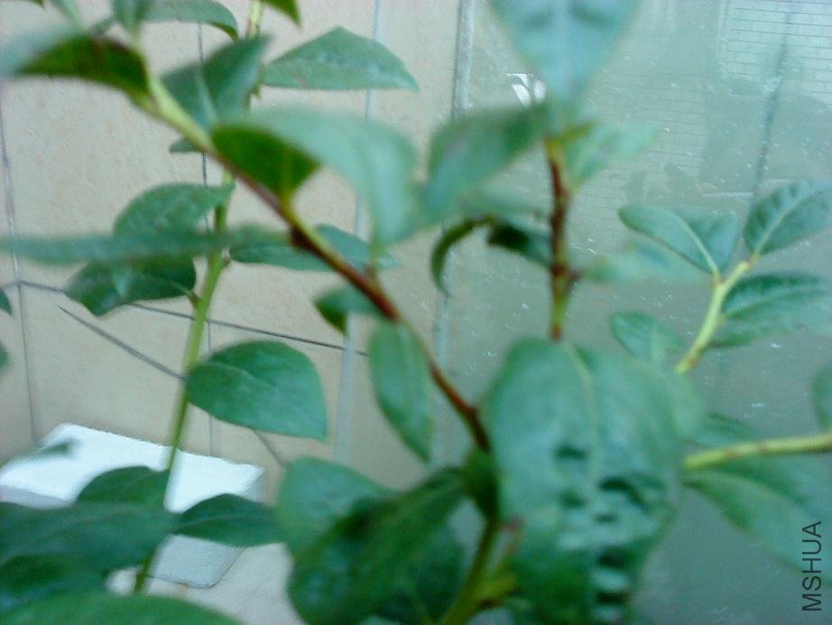 DSC00398.JPG