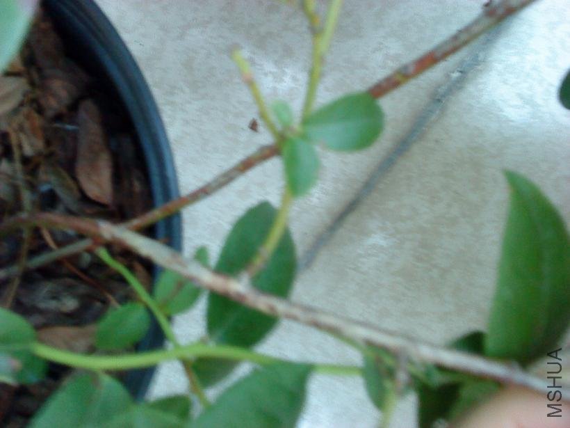 DSC00399.JPG