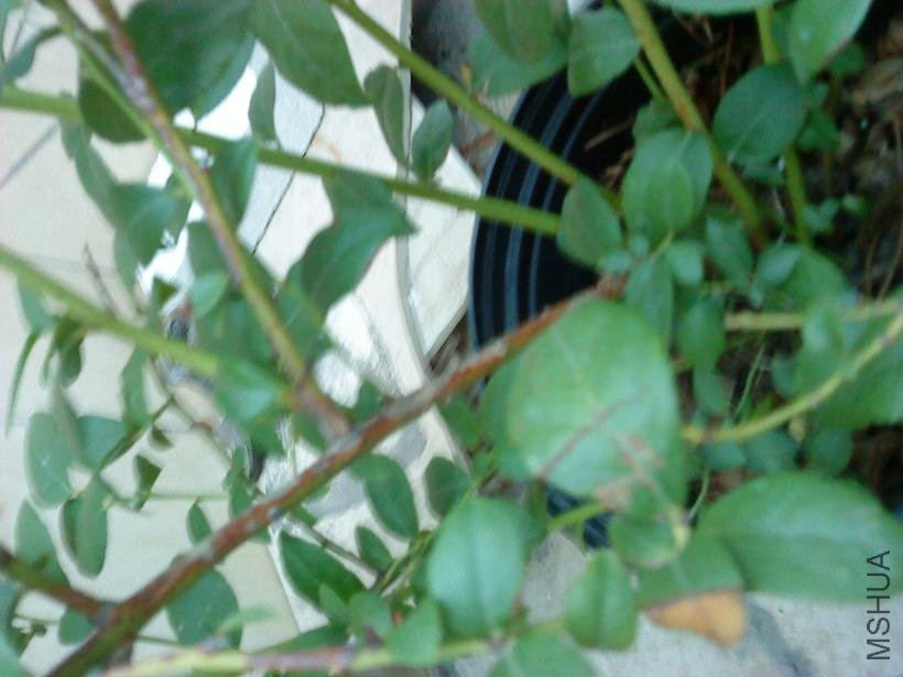 DSC00400.JPG