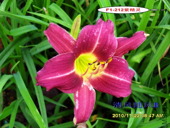 F1-212�Ͼ��� (2).jpg