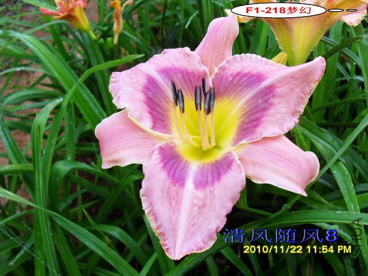 F1-218�λ� (2).jpg