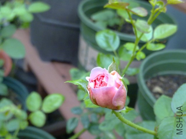 201108211783.jpg