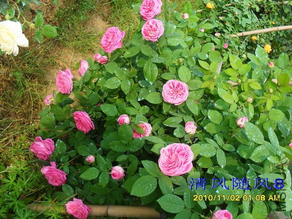 Բ��õ��1 (3).jpg