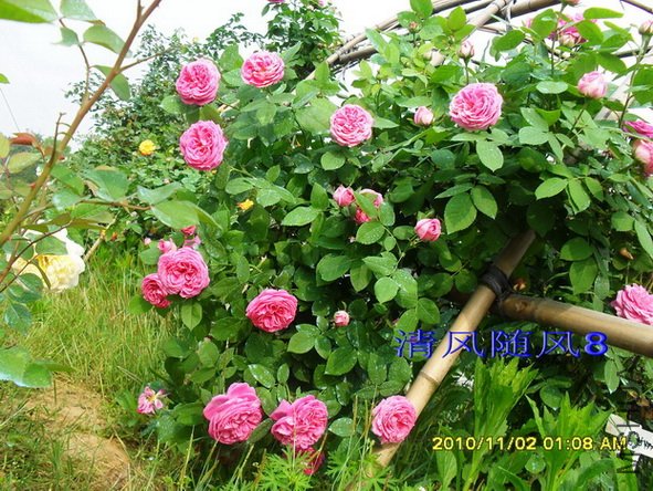 Բ��õ��1 (4).jpg