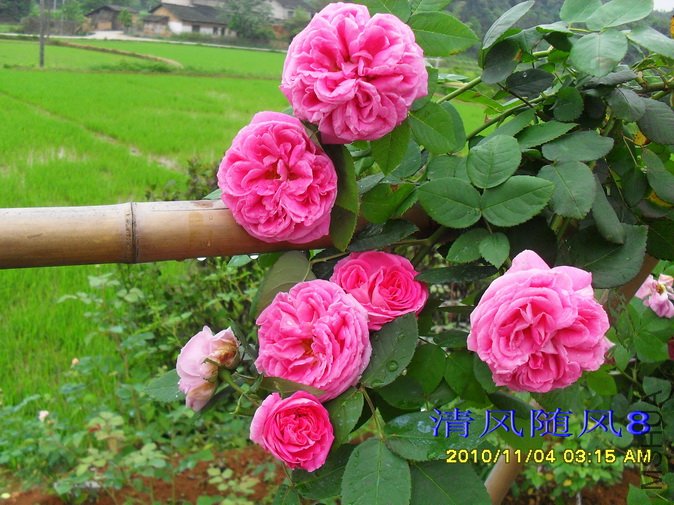 Բ��õ��1 (5).jpg