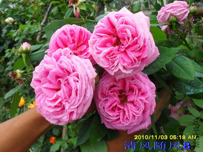 Բ��õ��1 (1).jpg