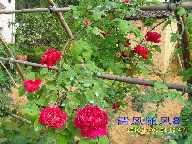 ������� (22).jpg