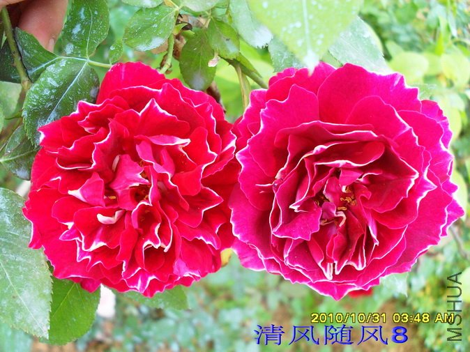 ������� (7).jpg