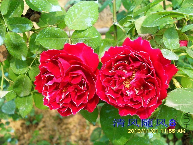 ������� (24).jpg