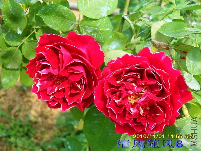 ������� (25).jpg