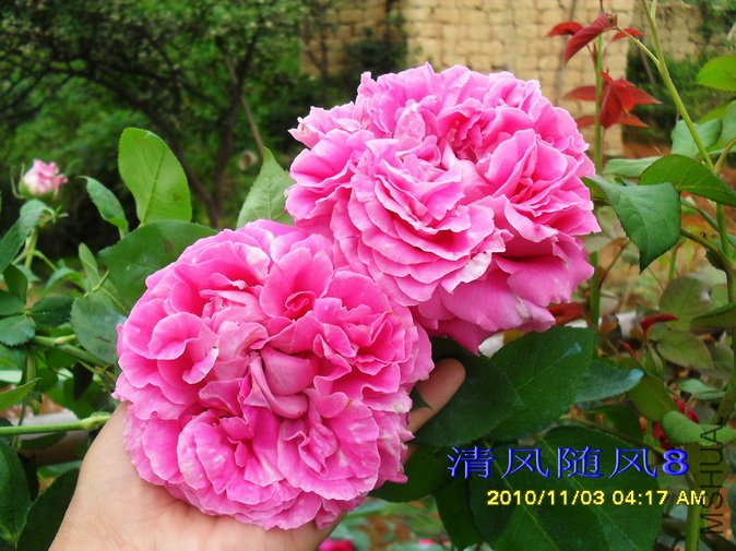 ��̫��ĵ�� (1).jpg