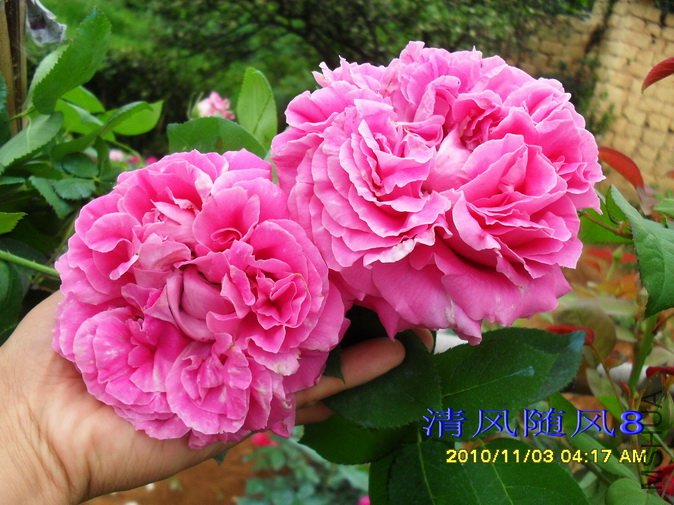 ��̫��ĵ�� (2).jpg