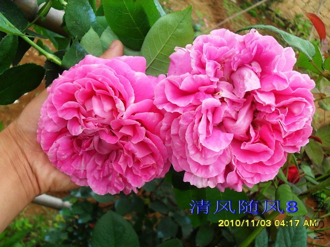 ��̫��ĵ�� (3).jpg