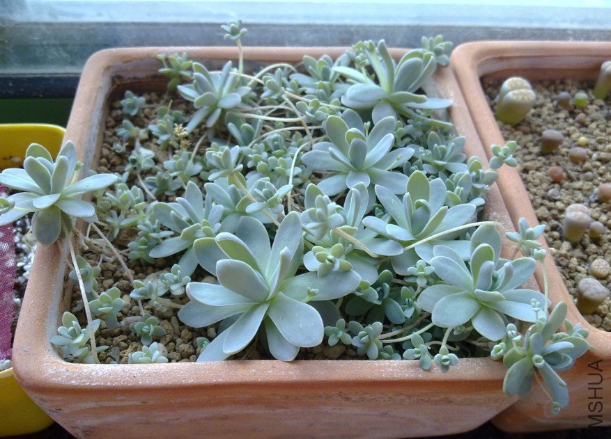 07906789.jpg