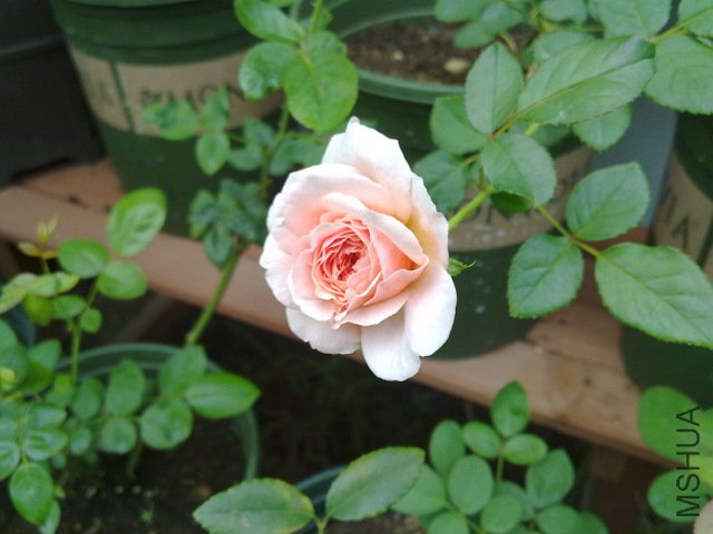 201108231801.jpg