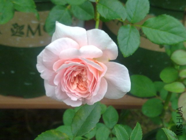 201108231805.jpg