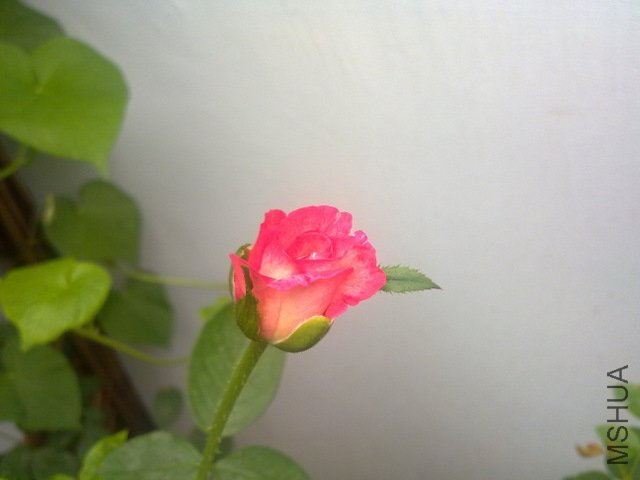 201108221791.jpg