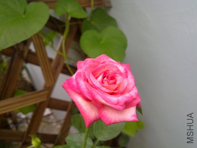 201108231802.jpg