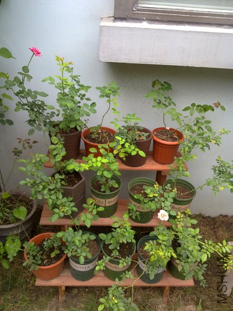 201108231803.jpg