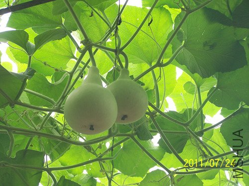 100_3345_����.jpg