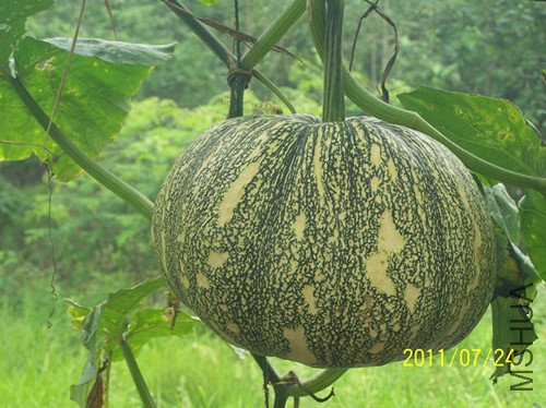 100_3346_����.jpg