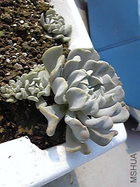 �� (2).jpg