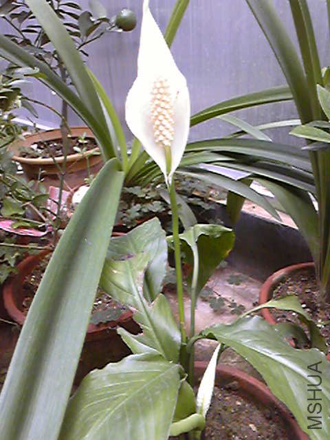 �� (6).jpg