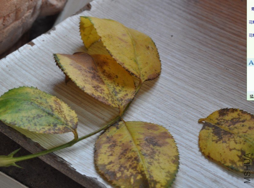 �ȱ���ˣ�Ȼ����ˡ�