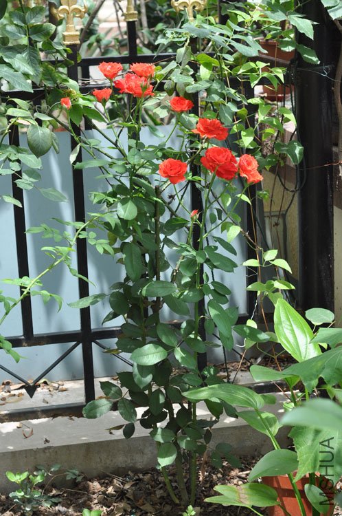 DSC_3082.JPG