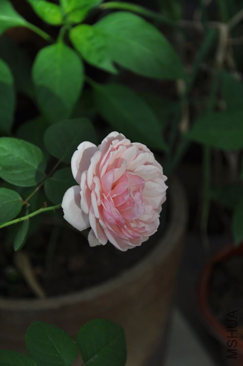 DSC_3317.JPG