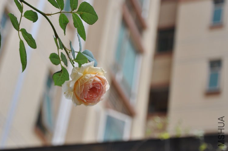 DSC_3347.JPG