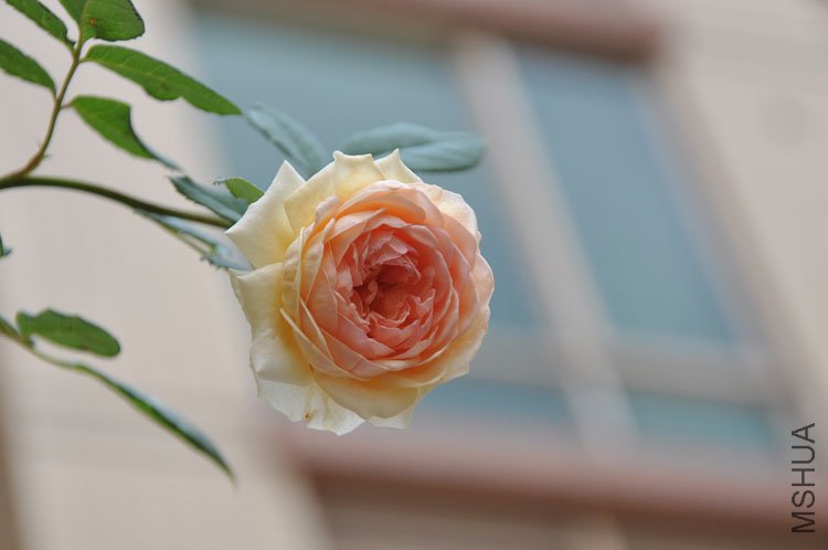DSC_3348.JPG