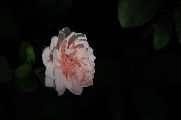 DSC_6429.JPG