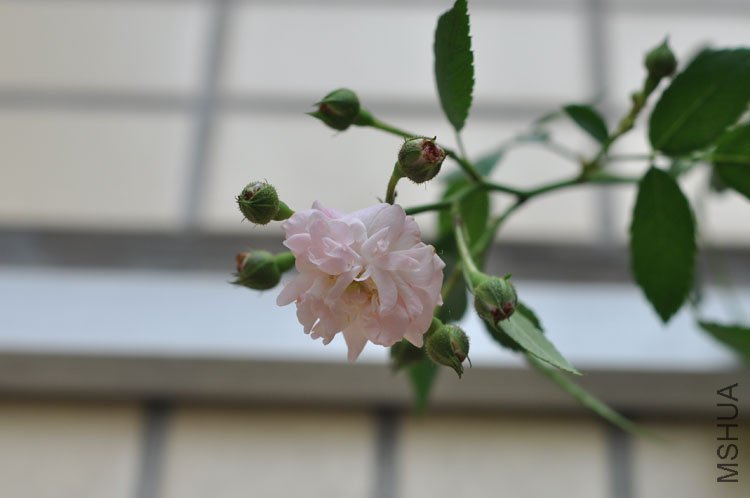 DSC_6777.JPG