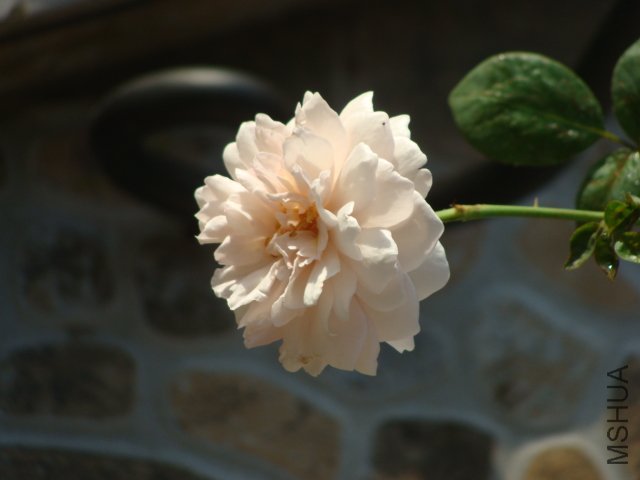 DSC00076.JPG