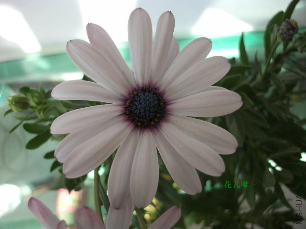 DSCF2855.jpg