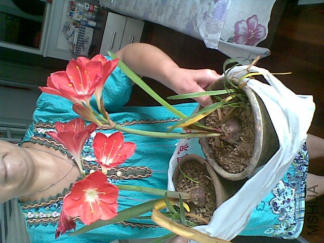 20110827.jpg