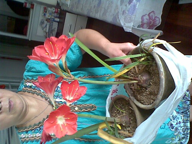20110827_001.jpg