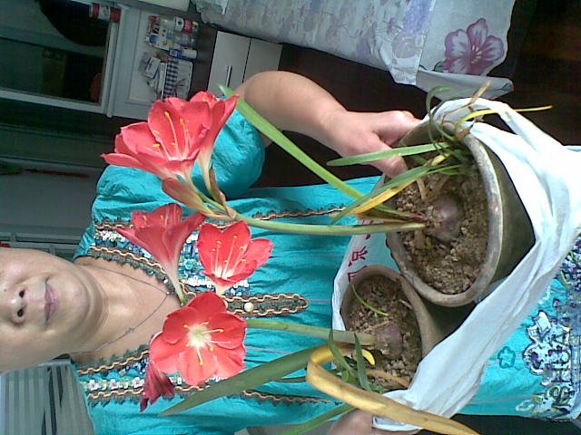 20110827_002.jpg